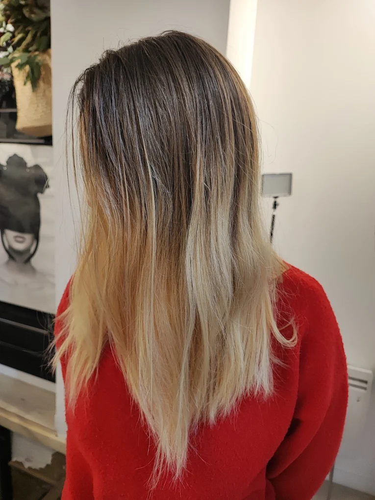 Réalisation coiffure et coloration — L’Artisan Coiffeur, Bourg-la-Reine